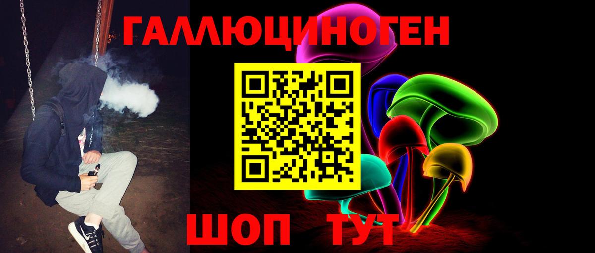 Галлюциногенные грибы MAGIC MUSHROOMS  где найти   Вход с VPN  Ирбит  Галлюциногенные грибы Cubensis 